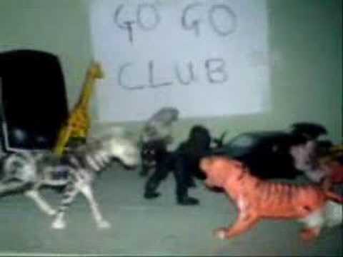 Zebra & Tiger song