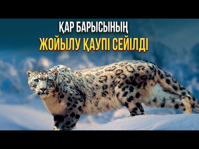 ЖАҢАЛЫҚТАР. 29.12.2023  күнгі шығарылым