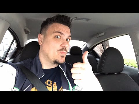 Os Pássaros video