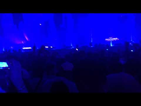 Sensation: Into the Wild Russia - Matisse & Sadko