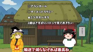 【阪神JF】まんじゅう屋の予想