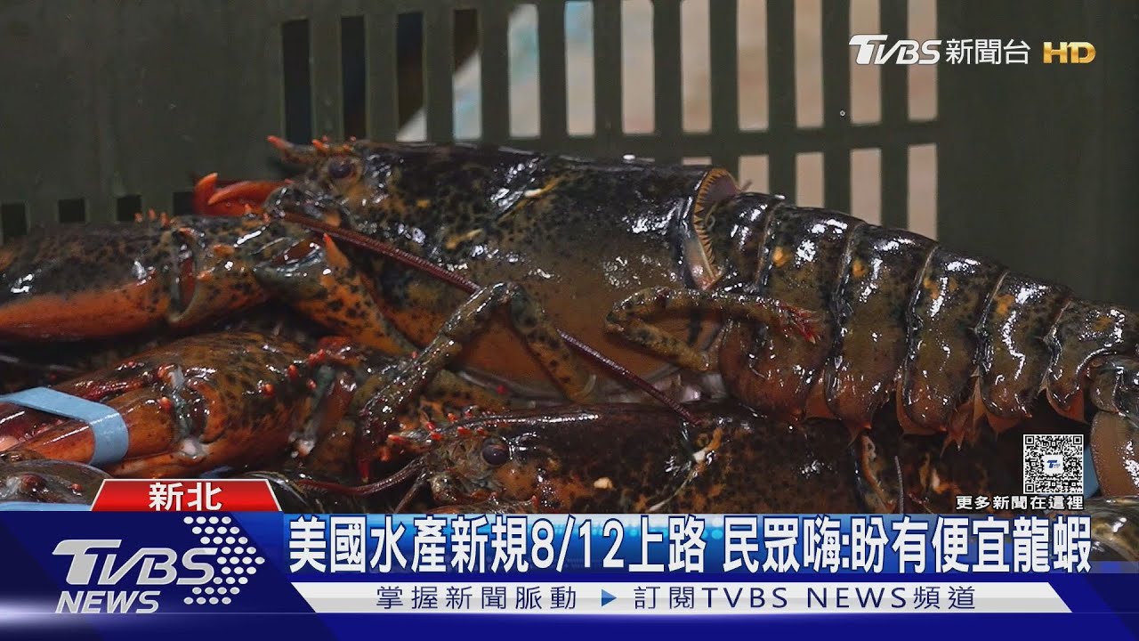 傳放行美水產 吃龍蝦更便宜? 業者:恐差不多