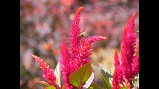 POINT OF GRACE -- WONDER OF IT ALL -- WILLIAM LOCKMILLER PHOTOGRAPHY
