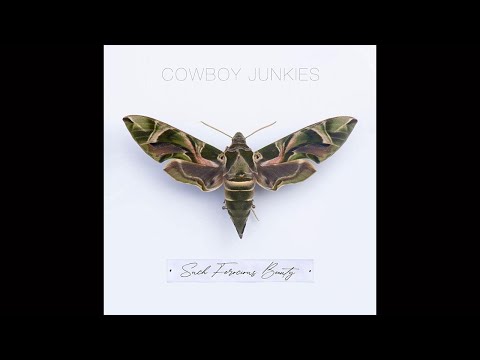 Cowboy Junkies - Such Ferocious Beauty (Full Album) 2023