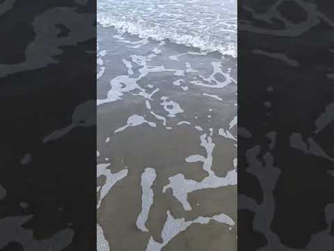 Playa Rada Tilly, Chubut #argentina #chubut #playa