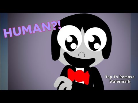 ROMAIN WORLD/ PINGU - HUMAN ( ANIMATION )