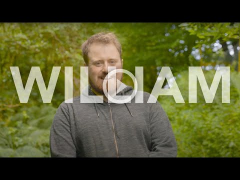 Play Video Youtube Video