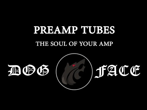 Test - Preamp tubes - The soul of your amp ?