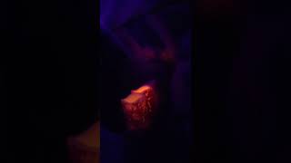 ani difranco - virtue - mid boy kim