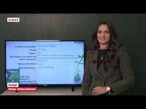 e - Mësimi - Klasa 8  07.04.2020