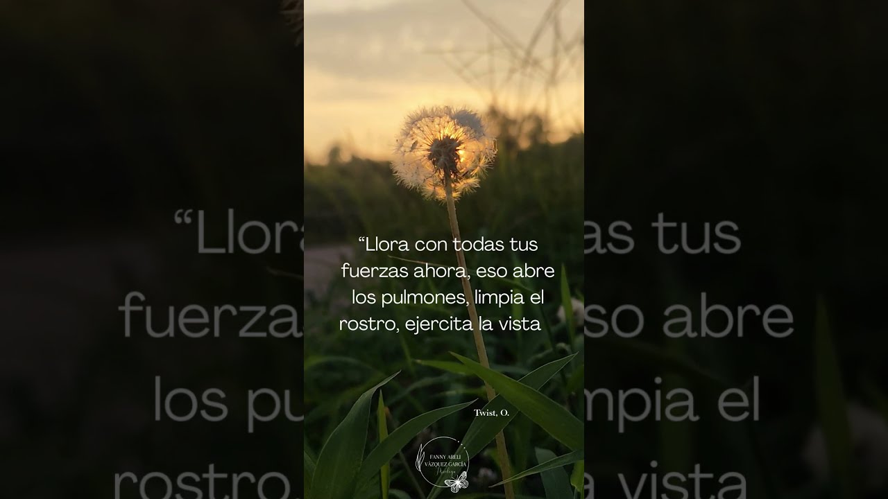 Fanny Areli Vázquez García-33