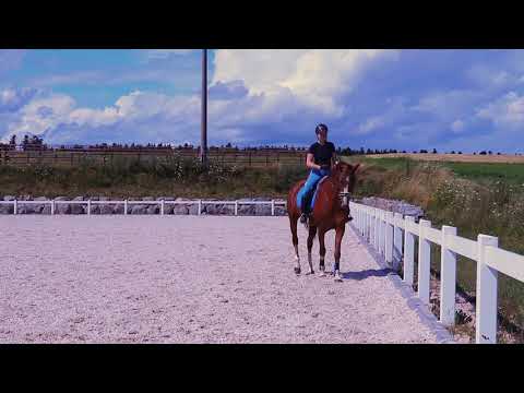 Travers - wofür braucht man das eigentlich?