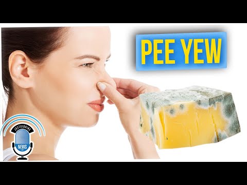 Court Case Ends Neighbor Dispute Over VERY Stinky Cheese