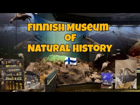 Luonnontieteellinen museo