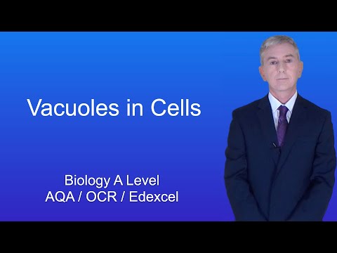 A Level Biology Revision "Vacuoles in Cells"