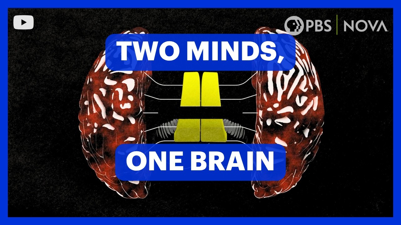Your Brain Has Two Minds | NOVA | PBS