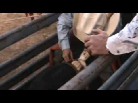 Nemo @ Evergreen, CO