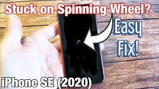 iPhone SE 2 (2020): Stuck on Spinning Wheel or Circle? Easy FIX!!!
