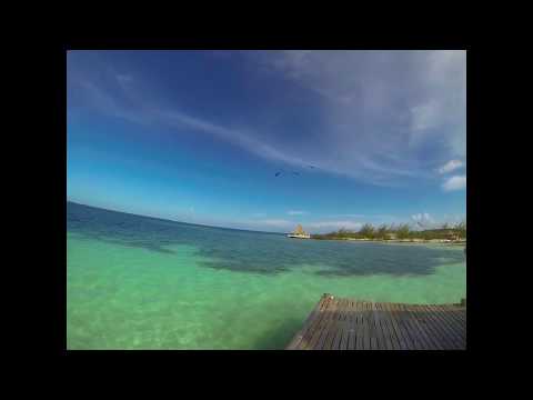 That One Time It Rained Fish In Paradise...