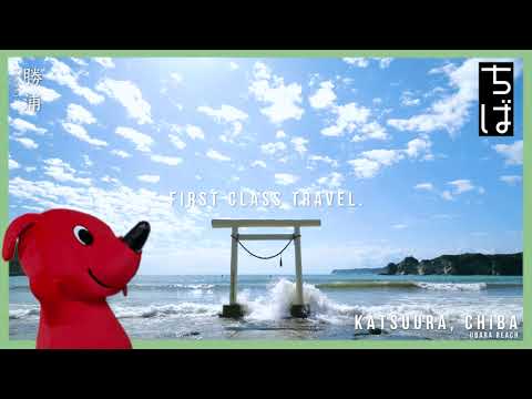 成田国際空港における来訪者歓迎動画「夏」