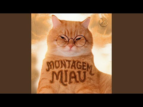 Montagem Miau