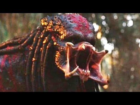 Datos Falsos Sobre The Predator Que Todos Creen