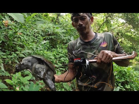 SE03EP135 - SINAKOP ang BUONG ILOG! PINAMUGARAN ng AHAS PAGONG - INVASIVE CHINESE SOFT SHELL TURTLE