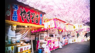 【かしま1ヶ月の日記 】2/2　チラシ配りから展示会当日まで