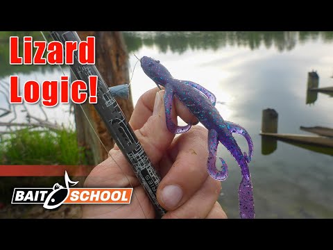 Do Lizards Still Catch Bass?! (Frank Scalish Facts & NEW Color Release)