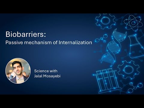 biobarrier 3 - Passive mechanism of Internalization