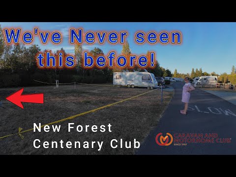 New Forest Centenary Club Site