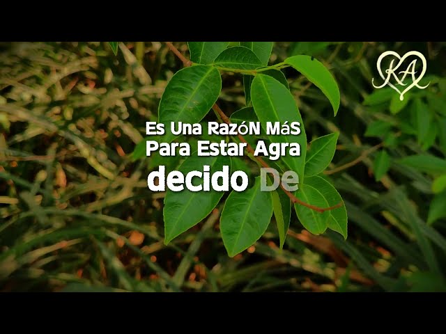 Vídeo relacionado con Amado Corazón Palabras Sentimentales Arte Camiseta