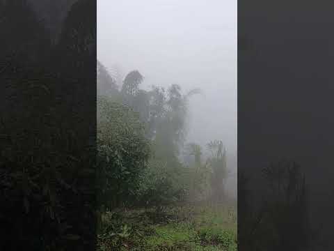 Y seguimos entre montañas... Urrao antioquia #viralreelsシ #turismo #propositodeDios #emprendimiento