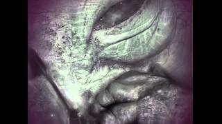 Ohrwert - Clone Lab Experiments #2 (GiHMix002)