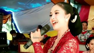 Download lagu NYAMPLENG SRIPAT SRIPIT_ (NGIMPI) _RINA ADITAMA _ SEKAR MADU mp3 Download lagu NYAMPLENG SRIPAT SRIPIT_ (NGIMPI) _RINA ADITAMA _ SEKAR MADU mp3