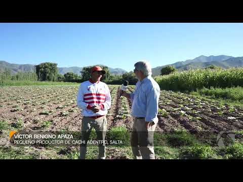 Víctor Benigno Apaza, pequeño productor de Cachi Adentro (Salta)
