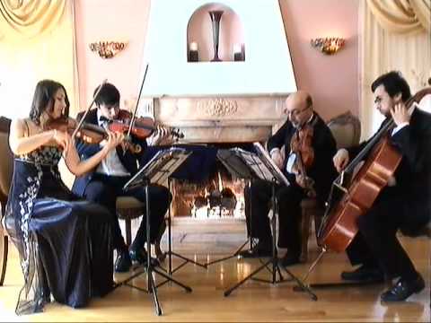 Promotional video thumbnail 7 for Bravo String Quartet / Bravo Music
