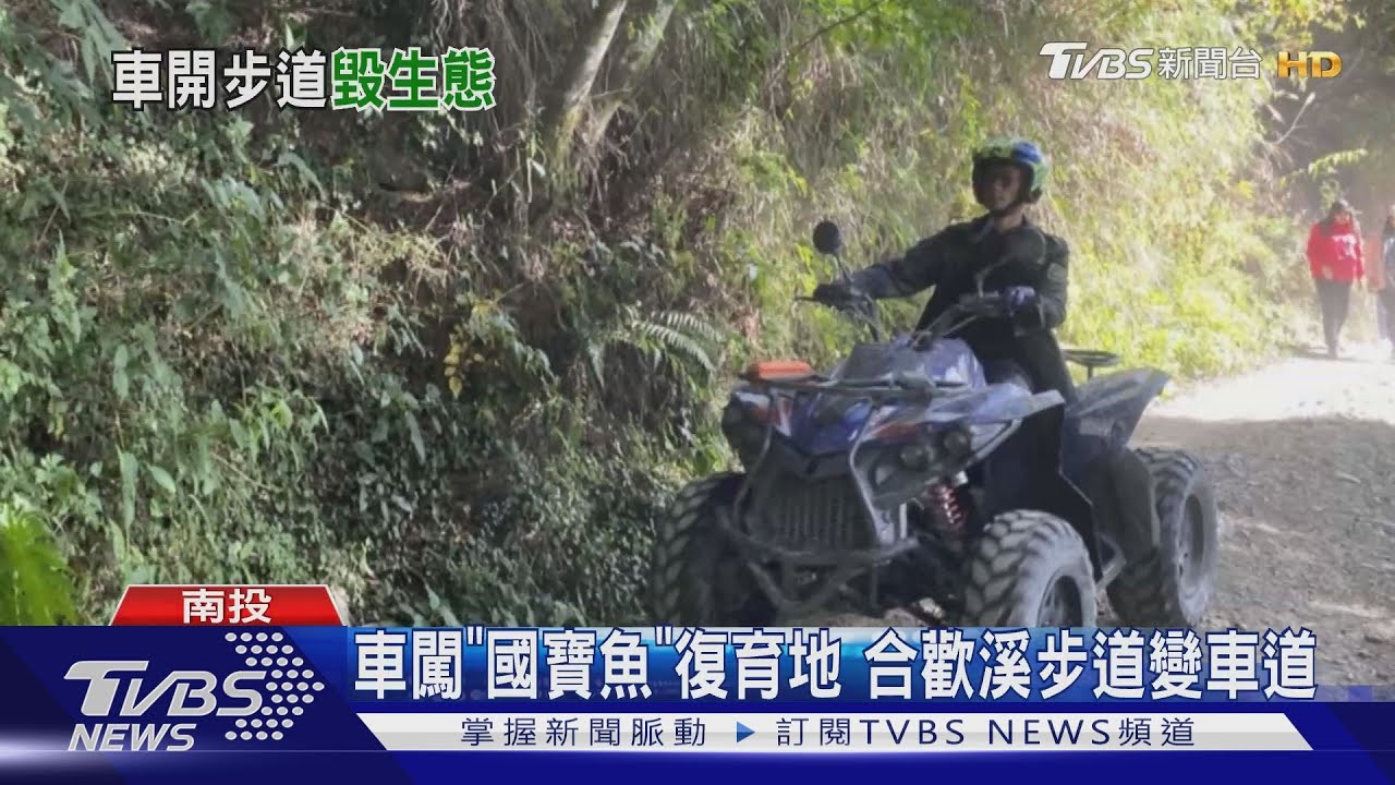 車闖「國寶魚」復育地 合歡溪步道變車道