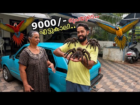 🔥 ദൈവമേ.. ഇത് കടിക്കുവോ?!! | Pet Spider For the FIRST TIME | Fishing Freaks 