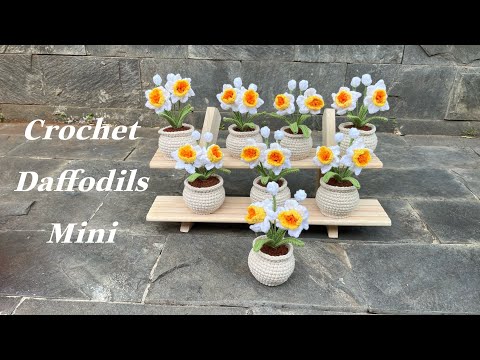 Chậu hoa thuỷ tiên mini