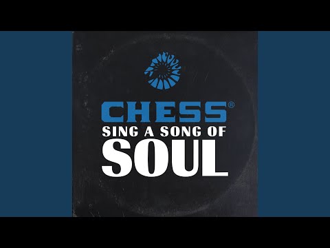 Searching For My Love