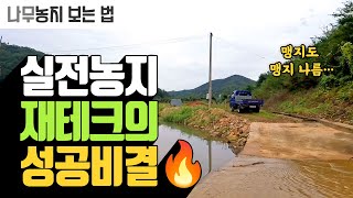 농지 재테크의 비밀! 대장이 직접 가르쳐주는 나무 재테크 전략 
