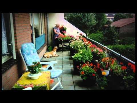 RTV Nieuws 21 november 2013