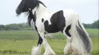 God Bless Texas - Alan Jackson