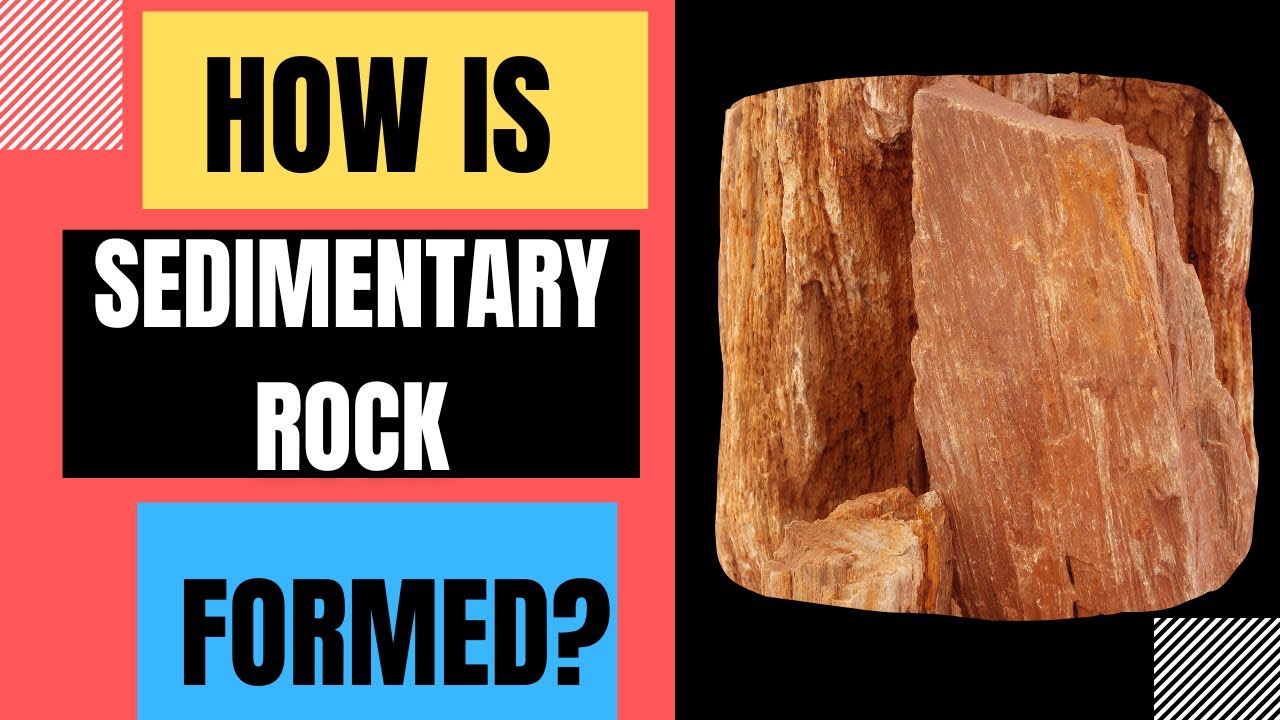 What Are Sediments In Short Form More REF what-are-sediments-in-short-form-more-ref