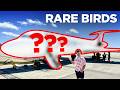 Caribbean Rare Birds - World’s Last Fokker + Smallest 3 Engine Plane