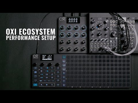 OXI Instruments Coral Polyphonic Multi-Engine Module w/ Black Panel image 2
