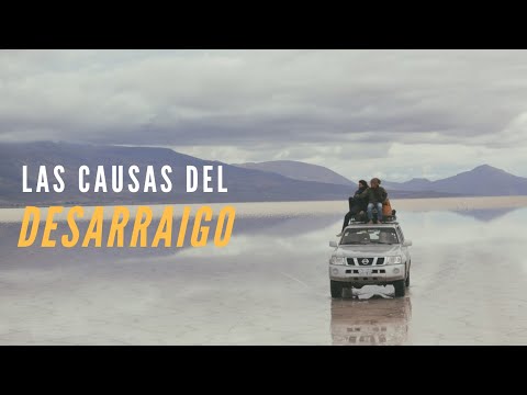 Las Causas del desarraigo