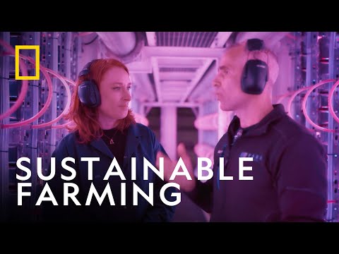 徹底改變永續農業！| 漢娜·弗萊的無限探索 | National Geographic UK (Revolutionising Sustainable Farming | Infinite Explorer With Hannah Fry | National Geographic UK)
