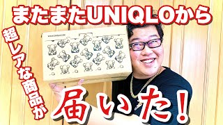 【KAWS】またまたUNIQLOから超レアな商品が届いた！！（カウズ）【UNIQLO】